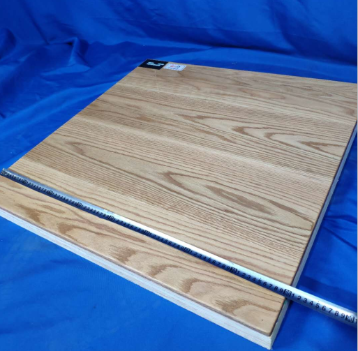 RS-230T美国RSD模体：血管造影头部模体的革新之作插图